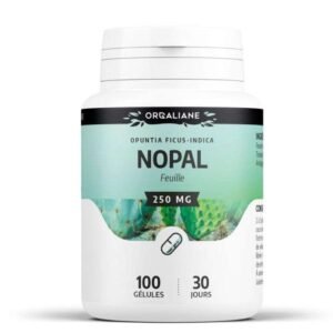 GPH NOPAL FEUILLE 250 MG 100 GELULES